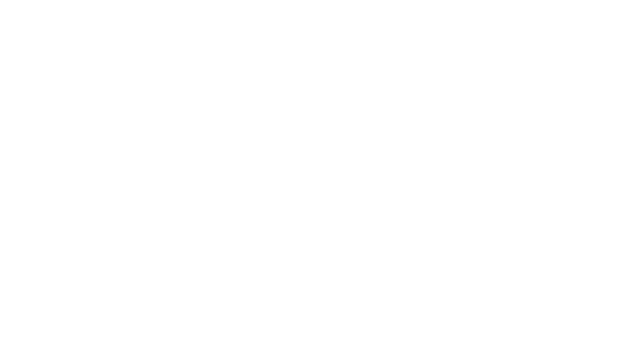 PVVS