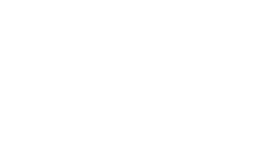 PVVS